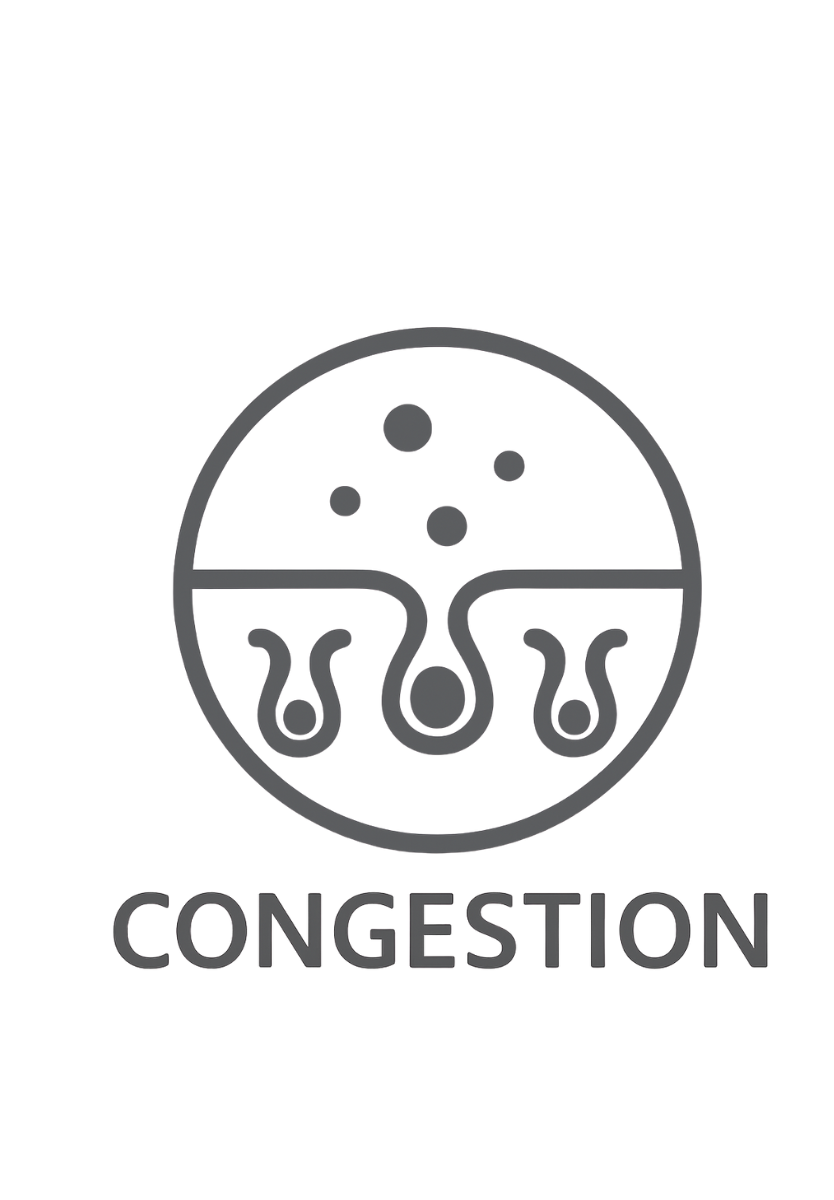 concern_congestion