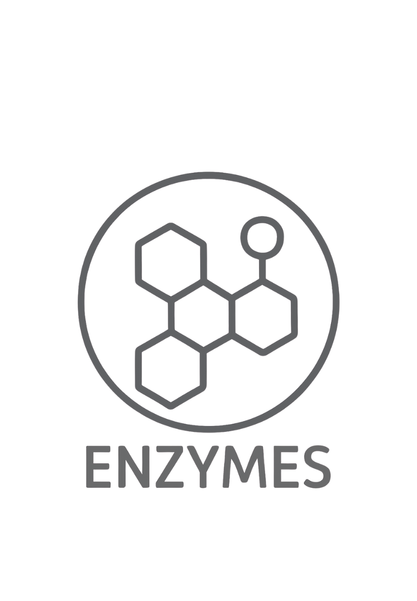 active_enzymes