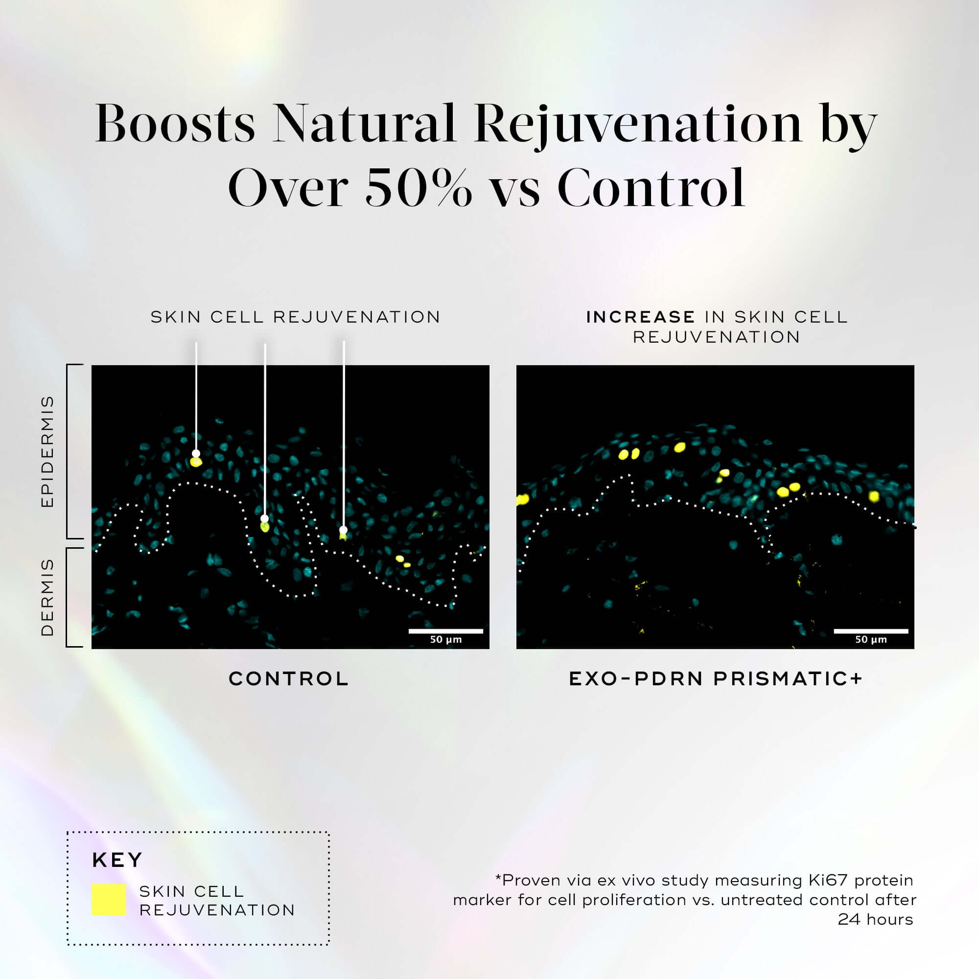 Medik8 Exo-PDRN Prismatic+ boosts natural rejuvenation over 50% compared to control with skin cell rejuvenation results.