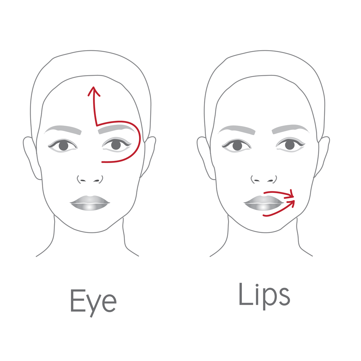 Dr LEVY Contour Pro product detail 6