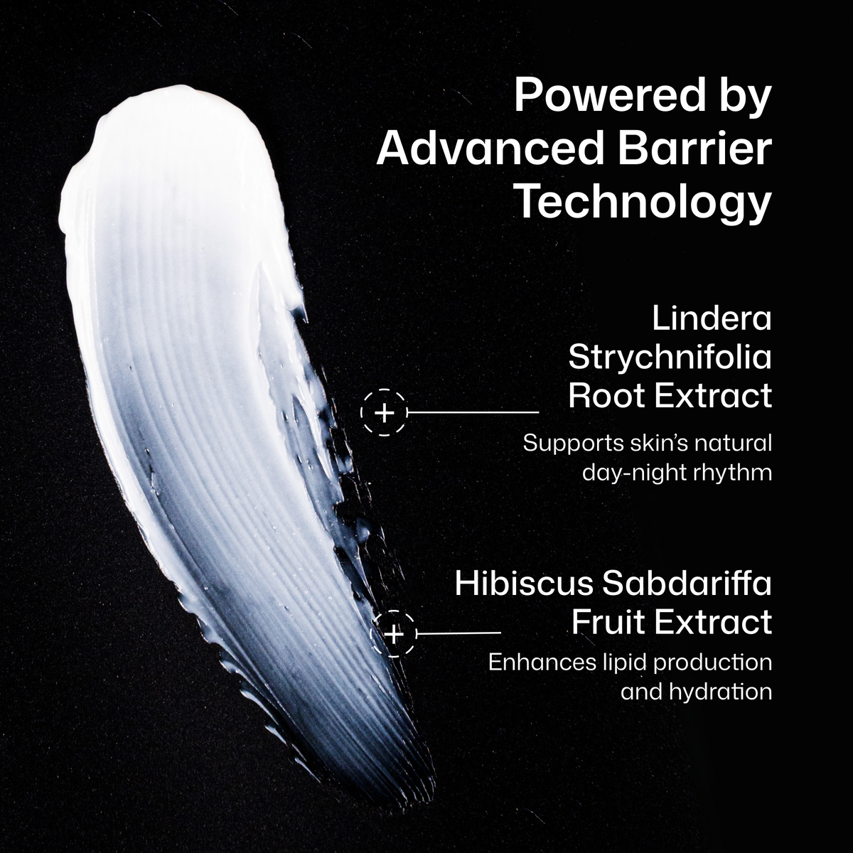 Revision Skincare DermProtect Barrier Defense key ingredients: Lindera root, hibiscus and epidermal lipids
