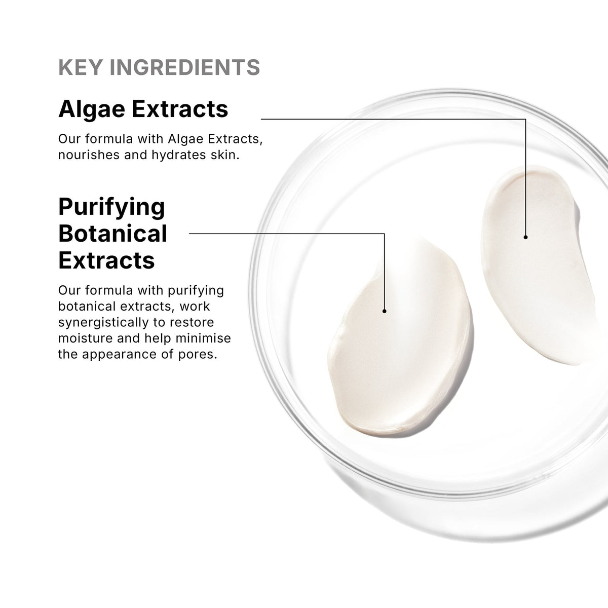 SkinCeuticals Daily Moisture key ingredients: algae and botanical extracts