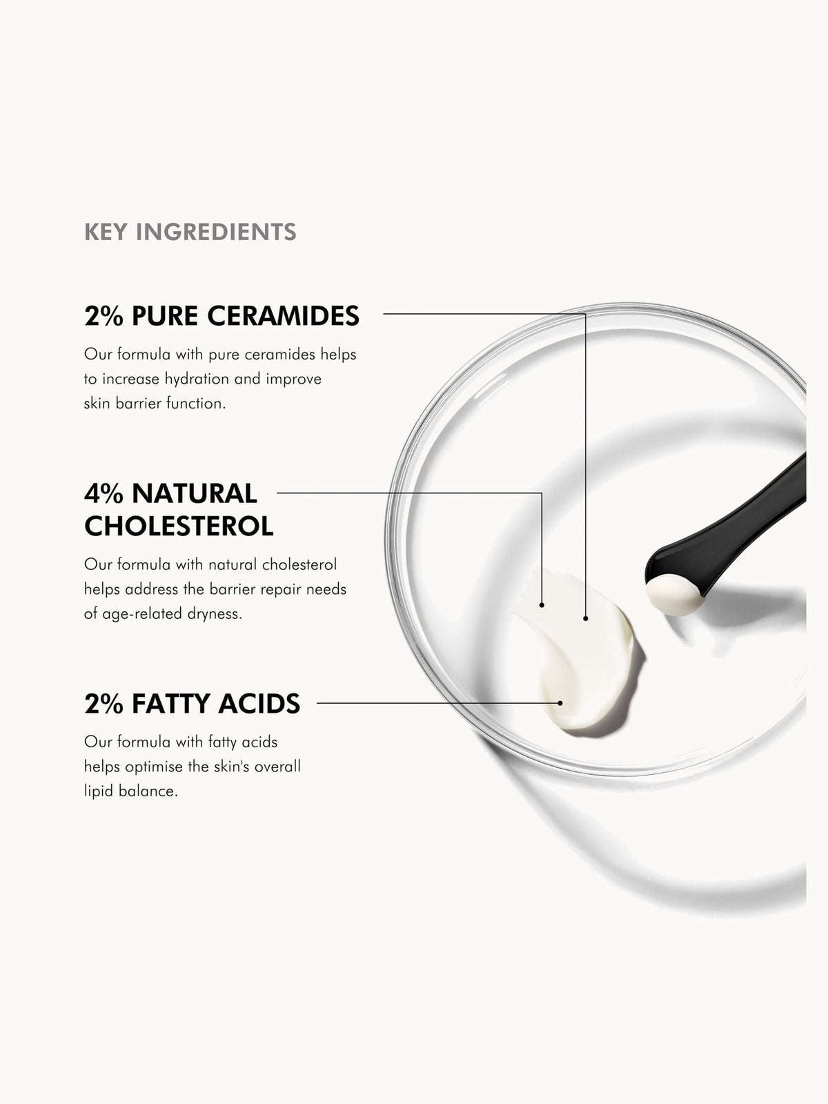 SkinCeuticals Triple Lipid Restore 2:4:2 key ingredients: 2% ceramides, 4% cholesterol, 2% fatty acids