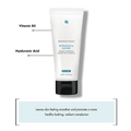 SkinCeuticals Hydrating B5 Masque